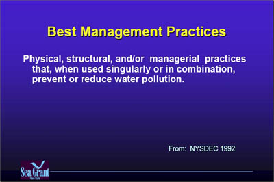 Marina Image Slide Show