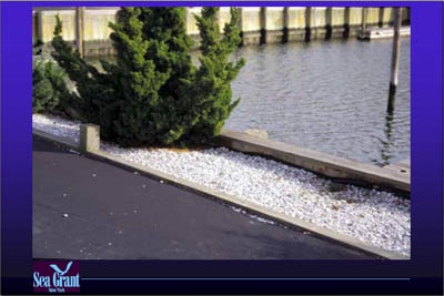 Marina Image Slide Show