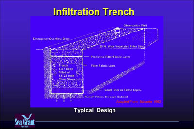 Marina Image Slide Show