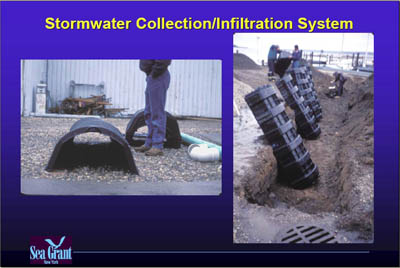 Marina Image Slide Show