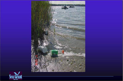 Marina Image Slide Show